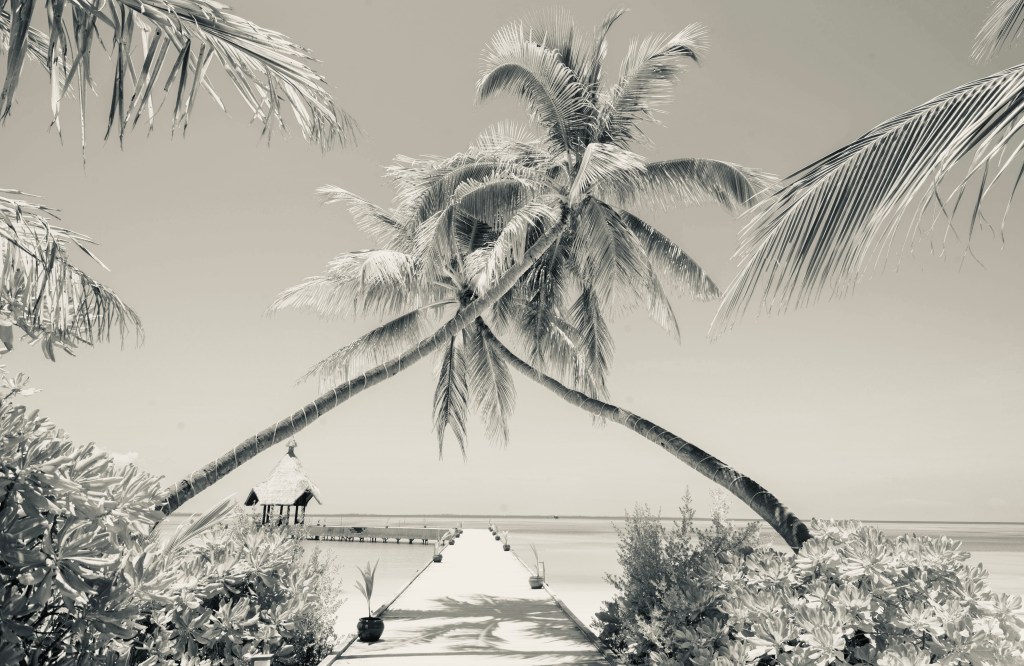 From Honeymoon to Headache